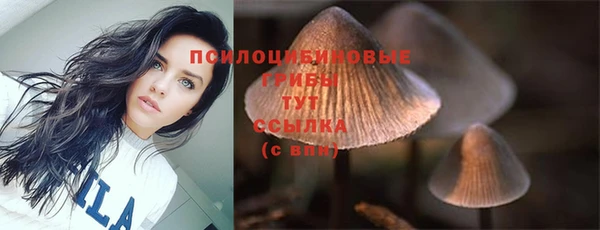 круглые Бронницы